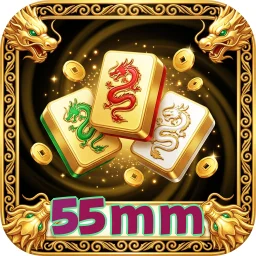 55mm