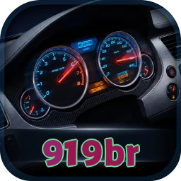 919br